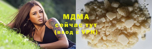 твердый Бородино
