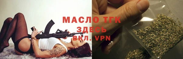твердый Бородино