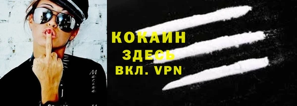 твердый Бородино