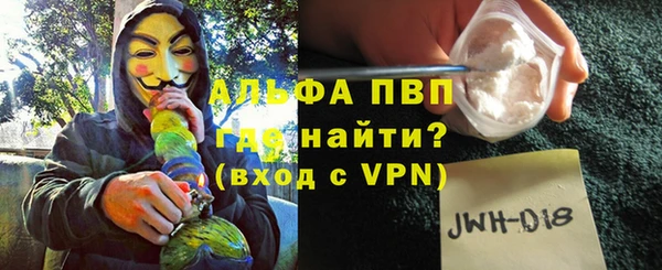 твердый Бородино