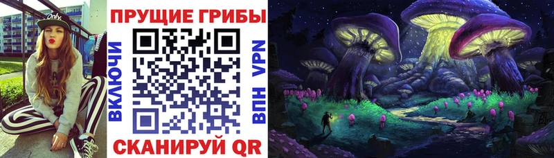 купить  сайты  Бронницы  Псилоцибиновые грибы Psilocybine cubensis 